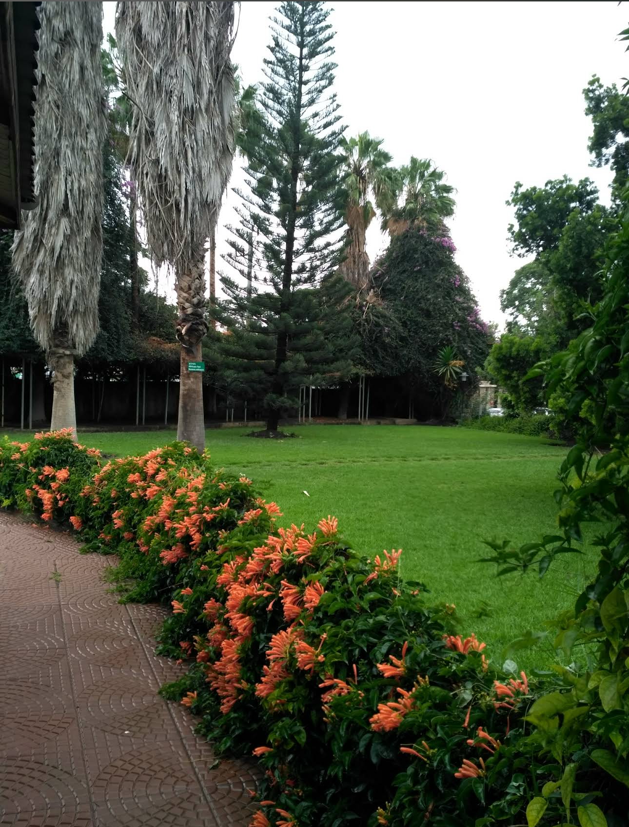 Lush Gardens